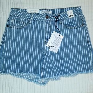 Judy Blue Shorts